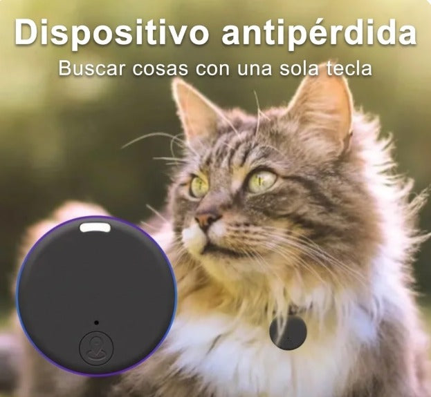 Gato con collar y dispositivo localizador antiperdida, solución para mascotas y objetos.